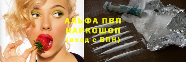 шишки Осташков