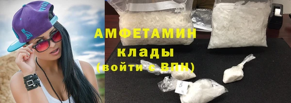шишки Осташков