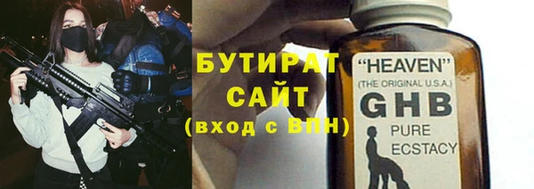 шишки Осташков