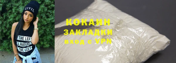 шишки Осташков