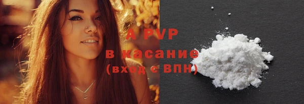 шишки Осташков