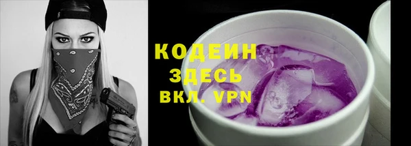 шишки Осташков