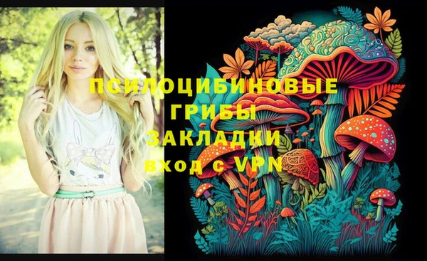 бутират Осинники