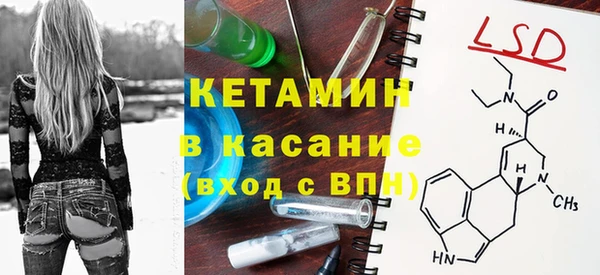 шишки Осташков