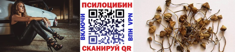 Галлюциногенные грибы мухоморы  закладки  Петров Вал 