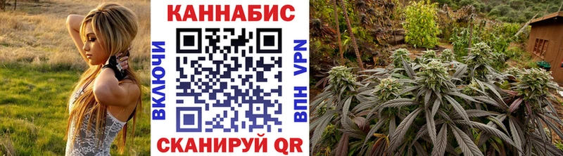 закладки  Петров Вал  Марихуана Amnesia 